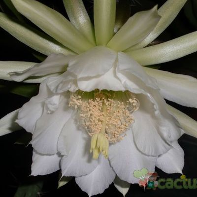 Fotografía tomada por emidenoemi Fotografía tomada por emidenoemi